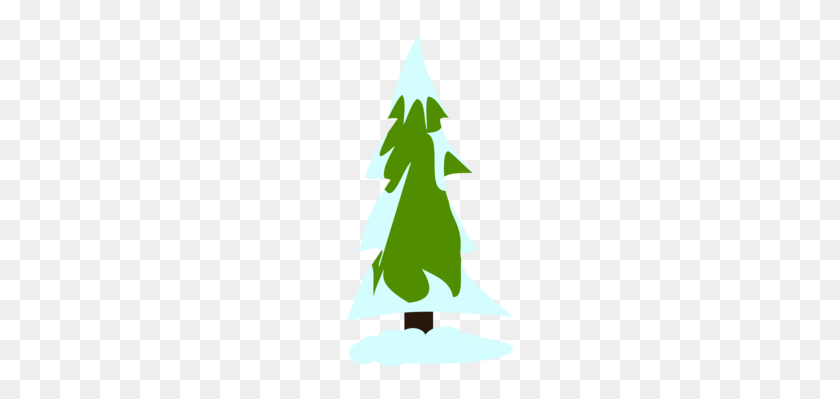 240x339 Christmas Tree Pine Fir Wood - Pine Tree With Snow Clipart