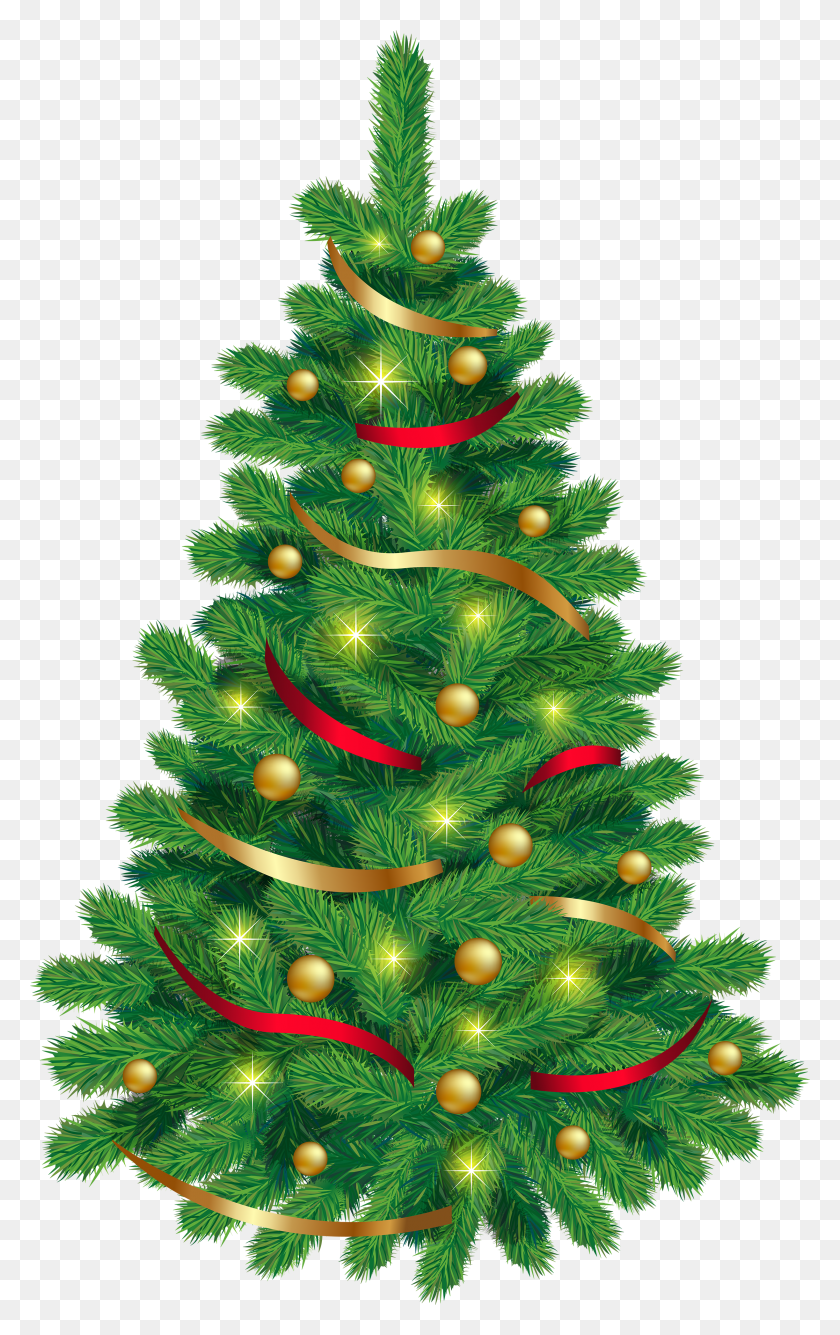 2447x4000 Christmas Tree Png Clip - Pine Branch Clipart