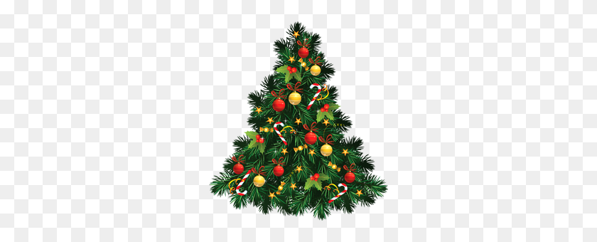 252x280 Christmas Tree Png Images Free - Tree PNG Transparent