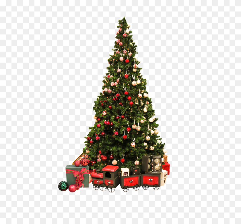 556x720 Christmas Tree Png Images Free Download - PNG Christmas Tree
