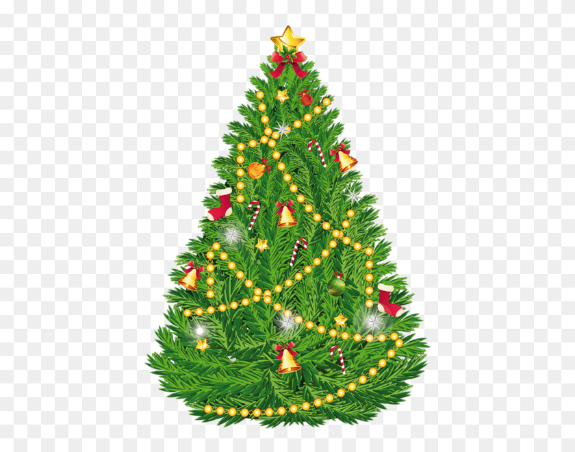 428x600 Christmas Tree Png Images Free Download - Christmas Tree PNG Transparent