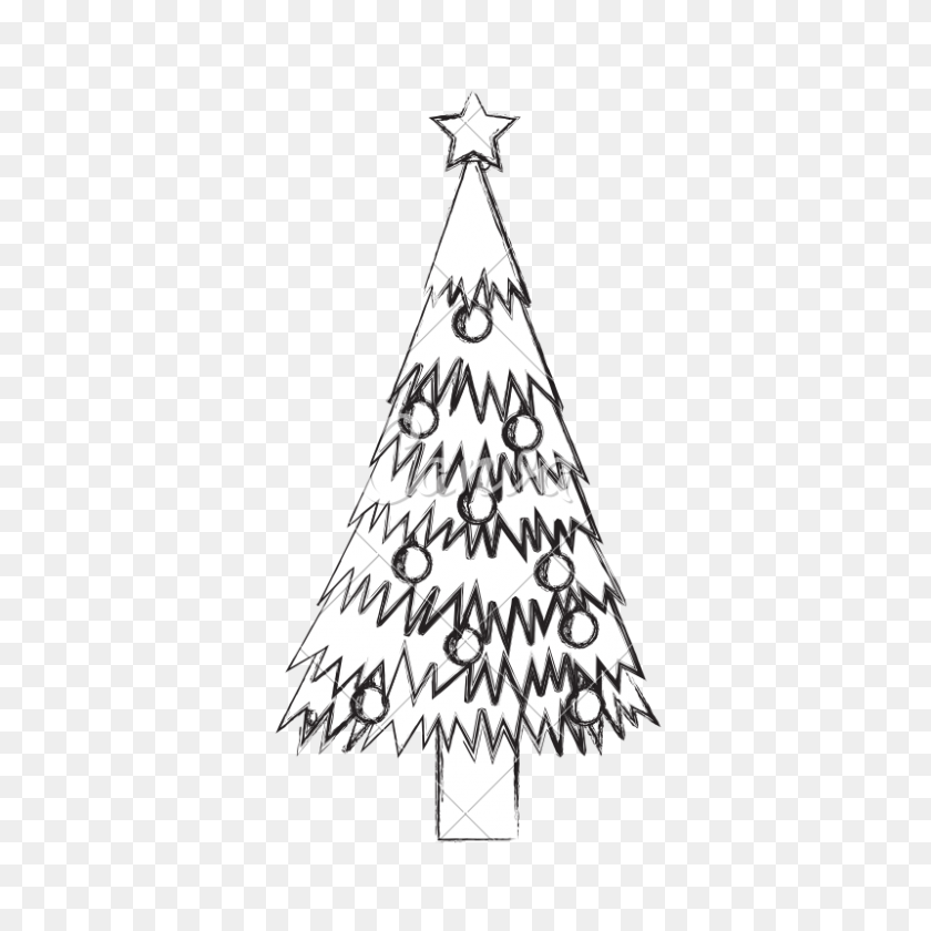 800x800 Christmas Tree Sketch - Tree Sketch PNG