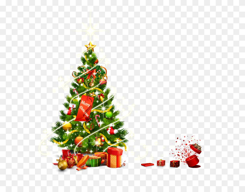 600x600 Christmas Tree Vector - Christmas Tree Vector PNG