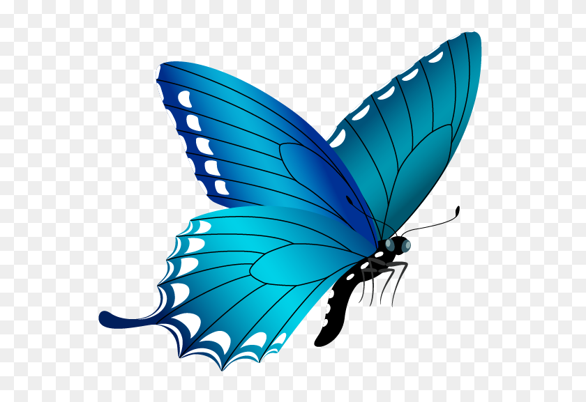 592x517 Chrocheting Butterfly, Blue - Butterfly PNG Images