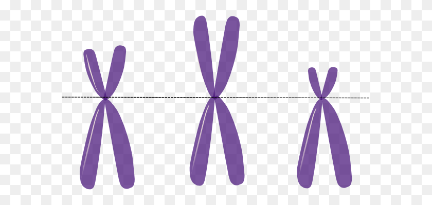 600x339 Chromosome Clipart Chromosome Clip Art Images - Kfc Clipart