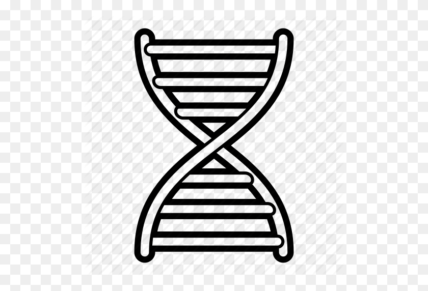 512x512 Cromosoma, Adn, Hélice De Adn, Icono Genético - Hélice De Adn Png