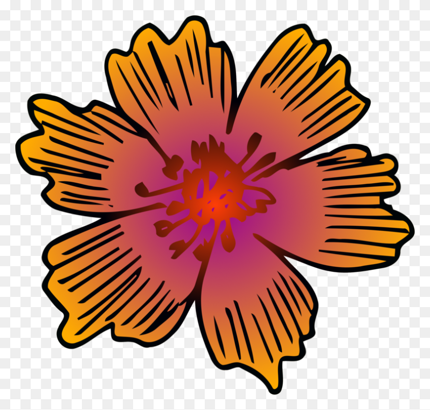 789x750 Crisantemo De Diseño Floral De La Flor De La Simetría - Imágenes Prediseñadas De Crisantemo