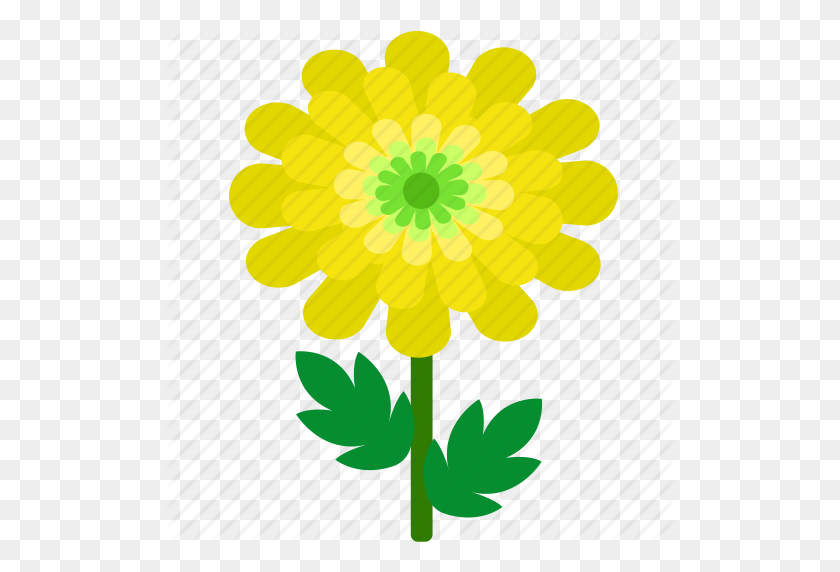 512x512 Хризантема, Цветочный, Флорист, Цветок, Сад, Природа Значок - Хризантема Png