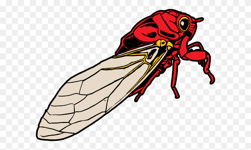 600x444 Cicada Bug Clip Art - Cicada Clipart