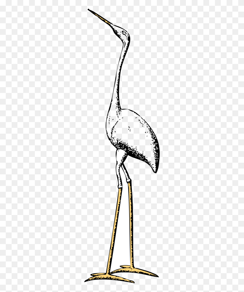 260x945 Ciconiiformes Clipart - Baby Flamingo Clipart