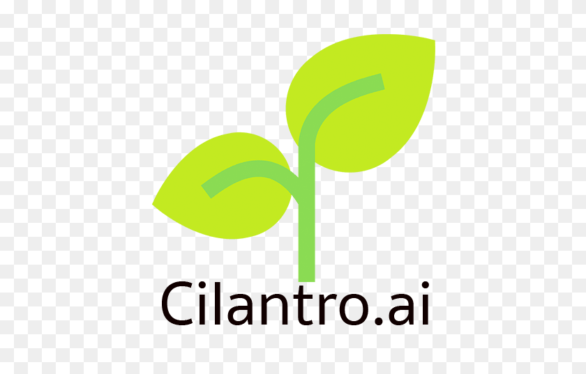 474x477 Cilantro - Cilantro PNG