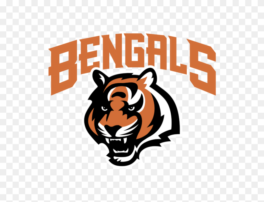 800x600 Los Cincinnati Bengals Logotipo De Fútbol Americano De La Nfl Calcomanía - Cincinnati Bengals Logotipo Png