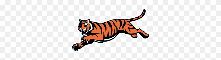 300x168 Cincinnati Bengals Logo Vector - Cincinnati Bengals Logo PNG