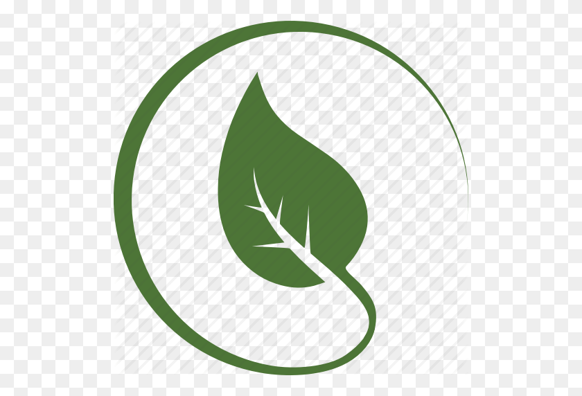 512x512 Circle, Environnement, Green, Leaf, Leaves, Nature, Tree Icon - Leaf Icon PNG