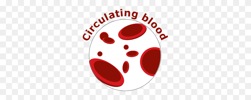 286x277 Circulatig Blood - Charco De Sangre Png