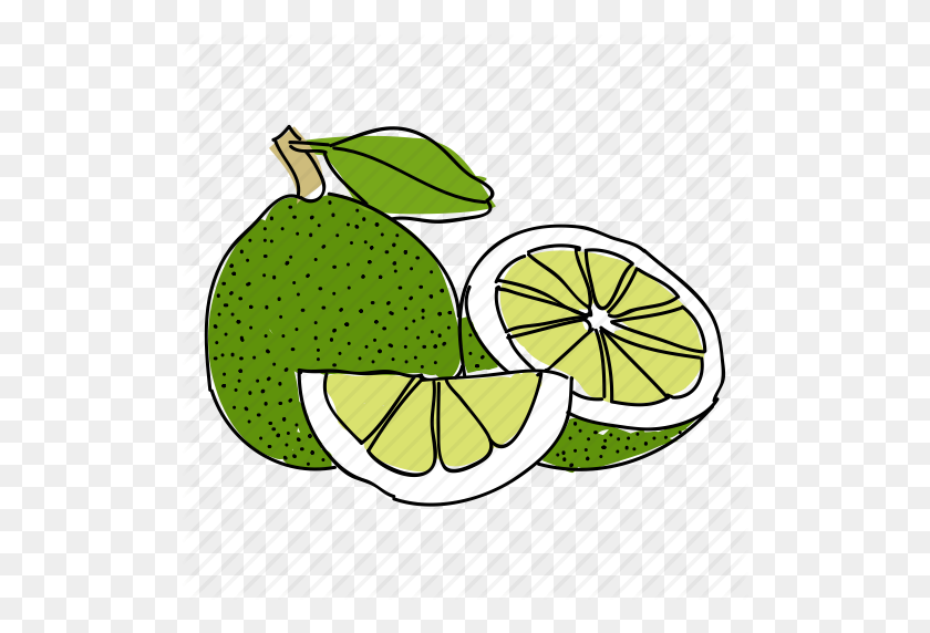 512x512 Citrus, Food, Fruit, Green, Hand Drawn, Lime, Limes Icon - Limes PNG