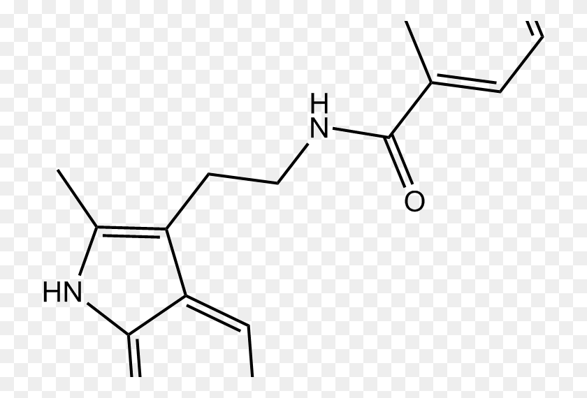736x510 Inhibidor Ck De Proteínas Relacionadas Con Actina Ag Blog Científico - 666 Png