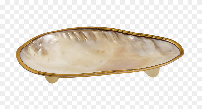 2353x1193 Clam Plate Brass Edged Novelties And Collectables - Clam PNG