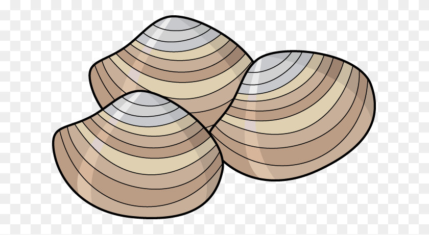 635x401 Clam Png Hd Transparent Clam Hd Images - Shell PNG