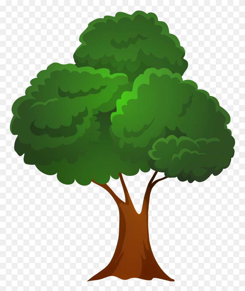 6660x8000 Классическое Зеленое Дерево Png Клипарт - Иллюстрация Дерева Png