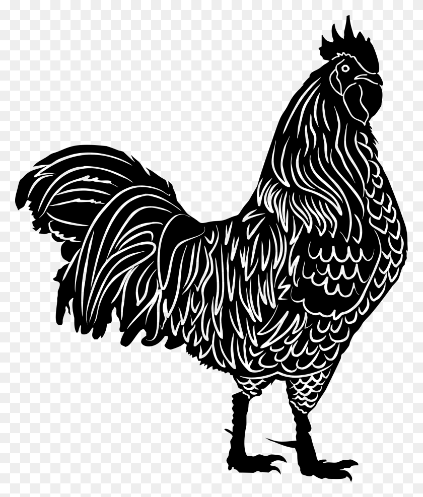 1863x2216 Claws Clipart Rooster - Eagle Head Clipart
