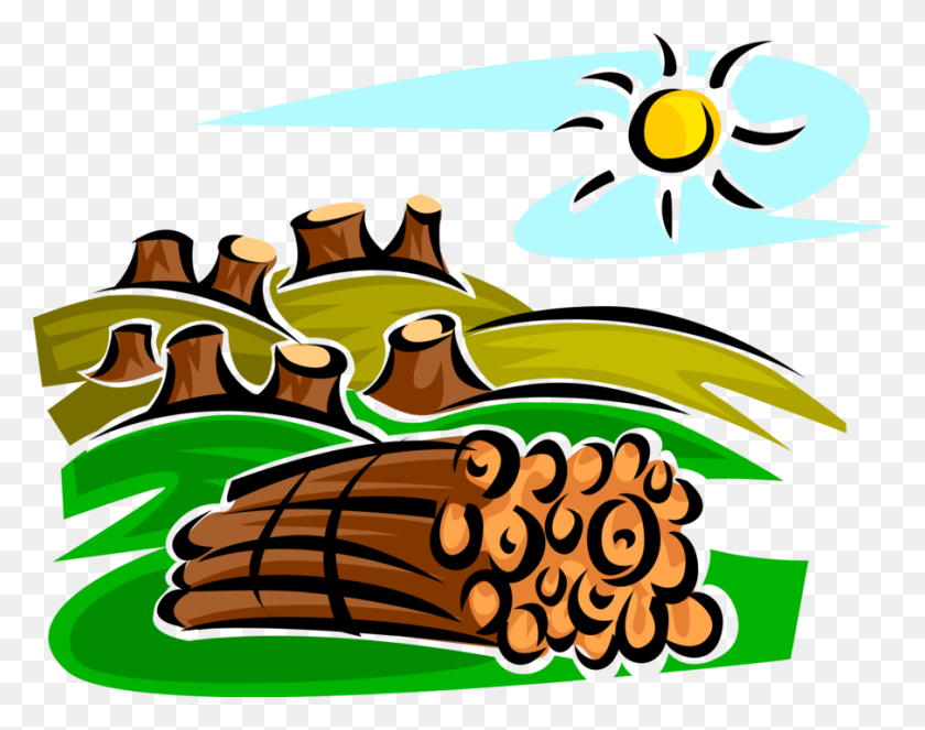 904x700 Clearcutting Deforestation Stumps And Logs - Deforestation Clipart