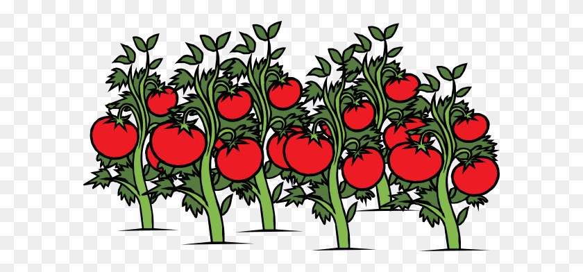 600x332 Clearer Tomato Patch Clip Art - Patch Of Grass Clipart