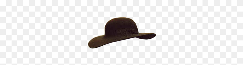 250x165 Png Шляпа Clearwater - Сделай Америку Великой Снова Шляпа
