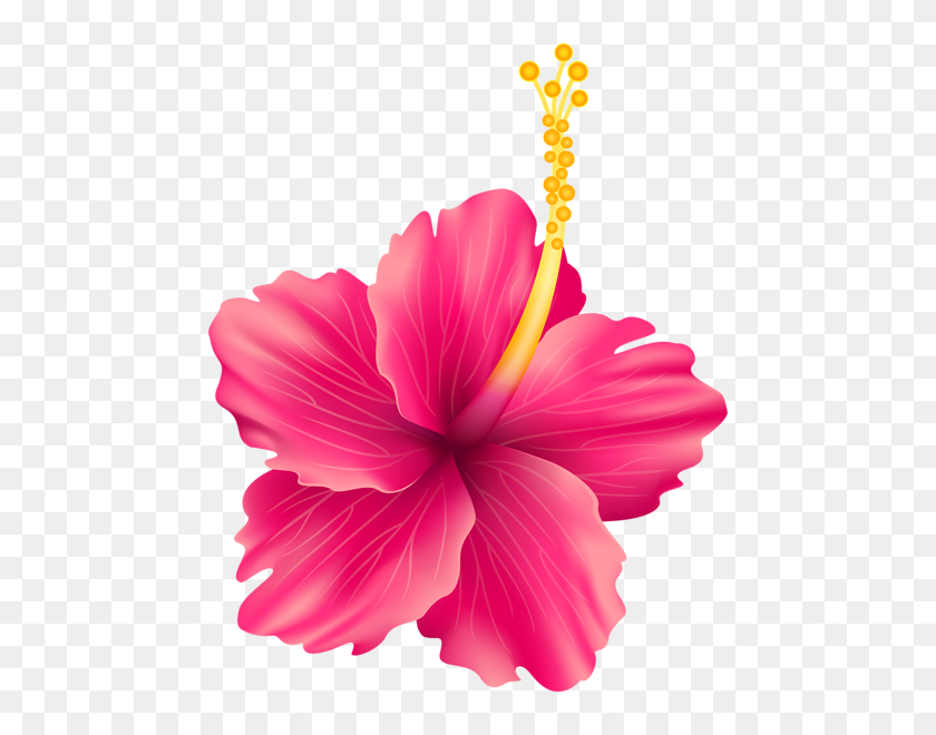 480x600 Clip Art - Moana Flower Clipart