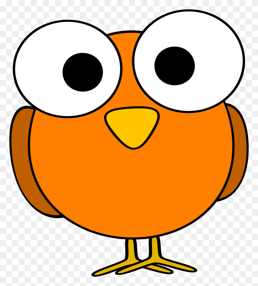 1843x2055 Clip Art Bird Eyes Clipart Orange Pencil And In Color - Eyes Looking Down Clipart