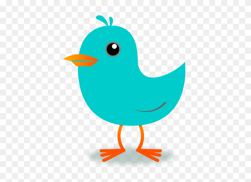 555x550 Imágenes Prediseñadas De Pájaro Robin Huevo Azul Papel De Pared De Pascua - Barril De Carreras De Imágenes Prediseñadas