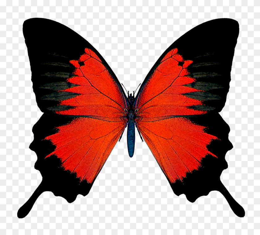 1200x1076 Clip Art Black And Red Butterfly Png Picture - Red Butterfly Clipart