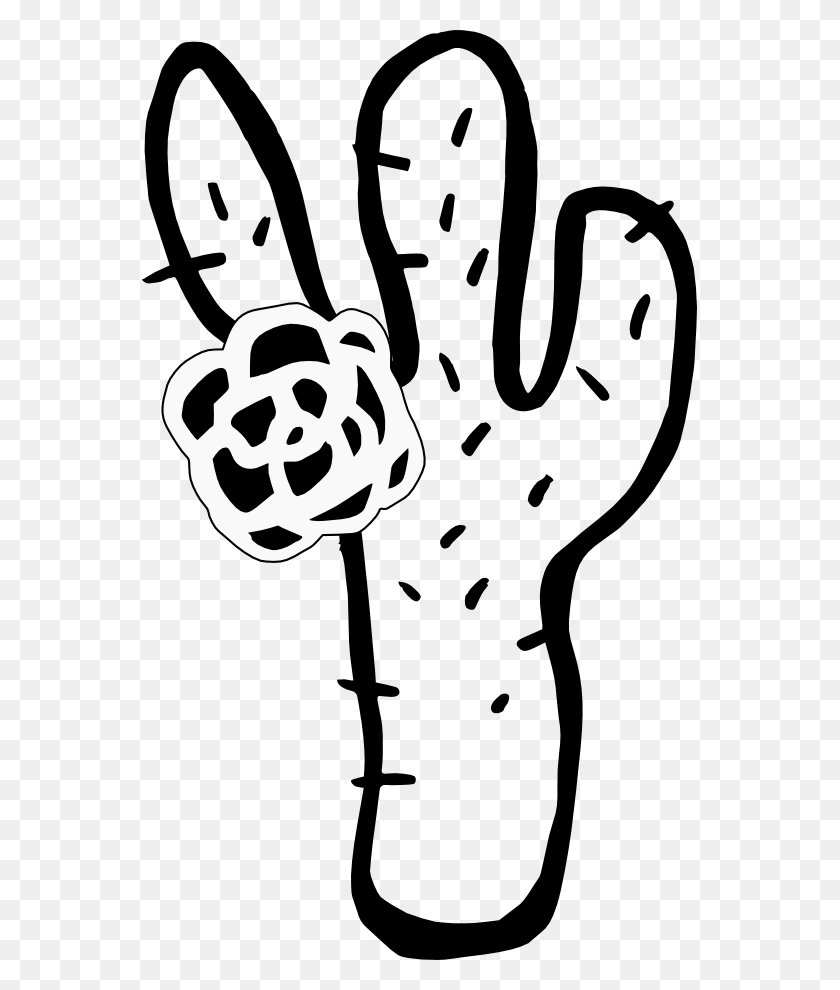 555x930 Clip Art Cactus - Cactus Outline Clipart