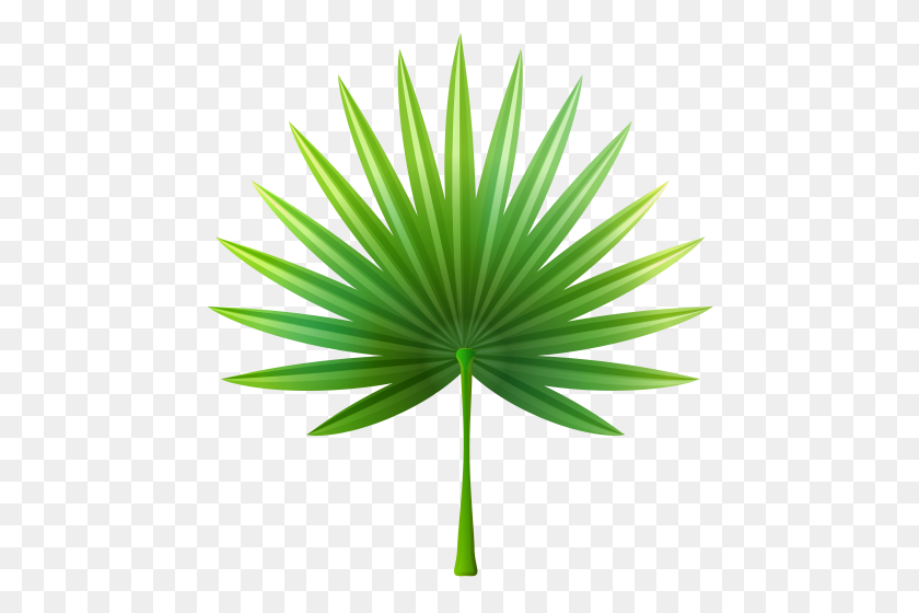 469x500 Clip Art Clip Art, Leaves And Art - Palm Tree Clipart Transparent Background