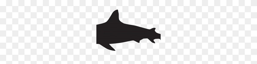 210x150 Clip Art Clip Art Of A Shark - Shark Fin Clipart