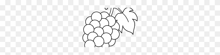 210x150 Clip Art Clip Art Of Grapes - Grapes Clipart Black And White