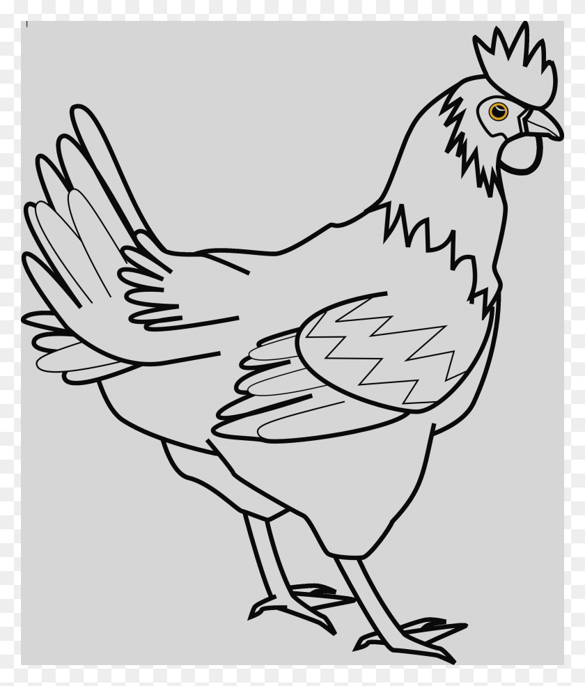 2555x3030 Картинки Вареная Курица Клипарт Черный И Белый - Вареная Курица Клипарт