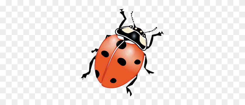 283x300 Imágenes Prediseñadas De Cricket Insect - Cricket Bug Clipart