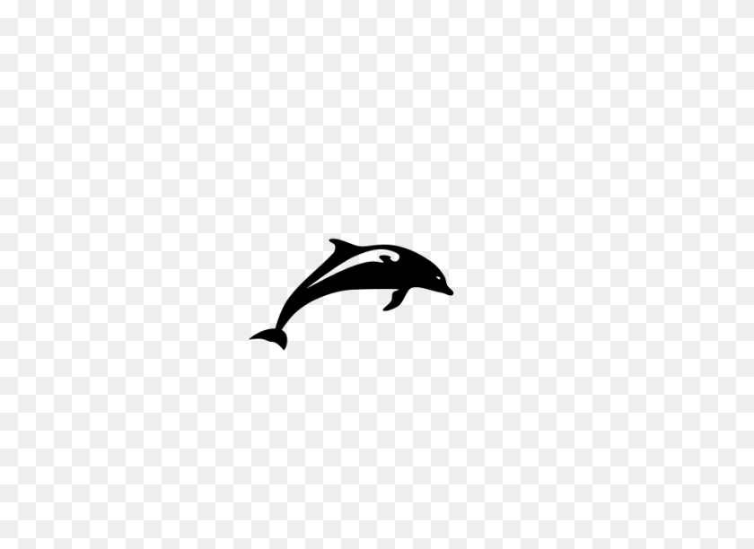 900x637 Картинки Дельфин - Лужа Клипарт Черно-Белый