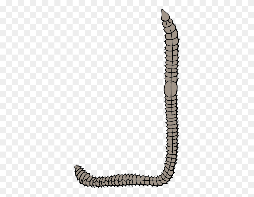348x590 Clip Art Earthworm - Bait Clipart