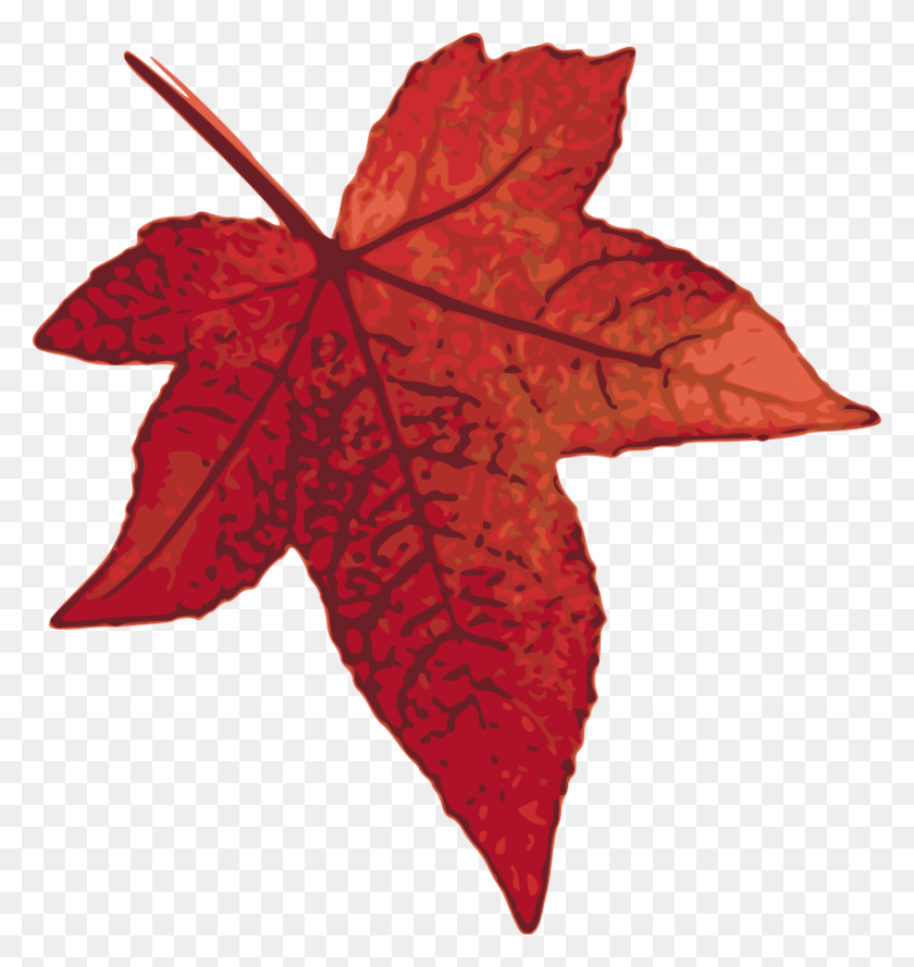 846x900 Clipart Fall Leaf - Pila De Hojas De Imágenes Prediseñadas