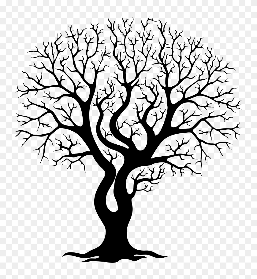 3738x4096 Clip Art Family Tree Branches - Family Tree Clipart Free