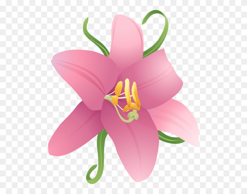 520x600 Clip Art Flowers Three - Lily Flower Clipart