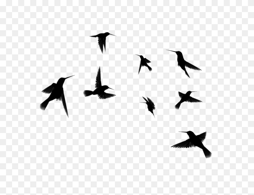 1024x769 Clip Art Flying Bird Silhouette Winging - Migration Clipart