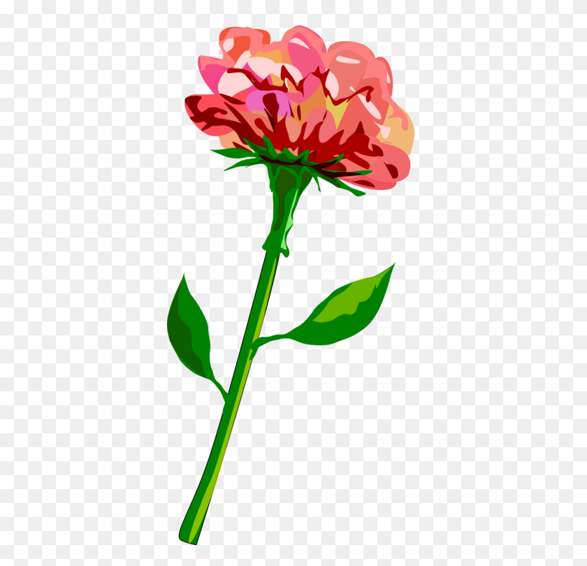 362x750 Картинки Для Литургического Года Компьютерные Иконки Гвоздики Розовые Цветы - Акварель Роза Клипарт