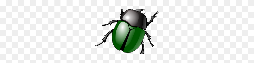 210x150 Clip Art Insect Clip Art - Cricket Insect Clipart