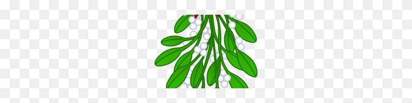 210x150 Clip Art Mistletoe Clip Art - Mistletoe Clipart Black And White