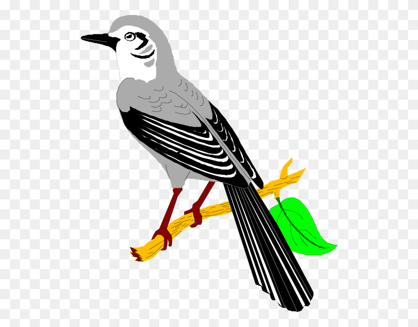 516x596 Clip Art Mocking Bird - Bird In Tree Clipart