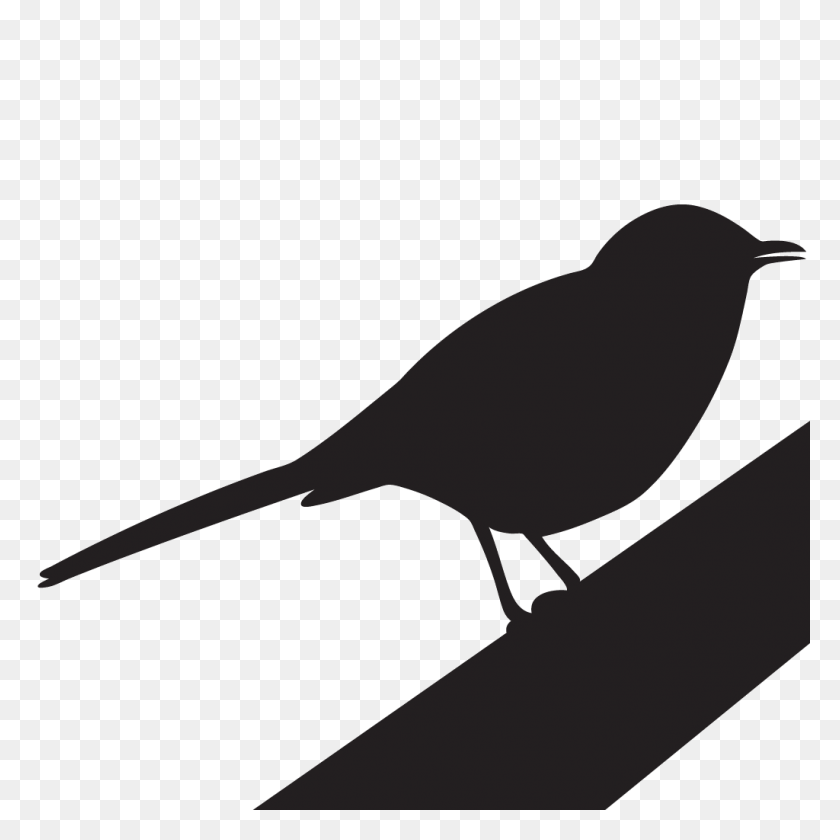 1024x1024 Clip Art Mocking Bird Winging - Wren Clipart