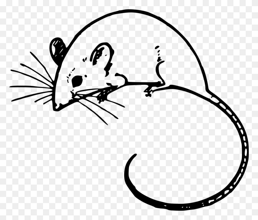 1024x860 Clip Art Mouse - Rat Clipart Black And White